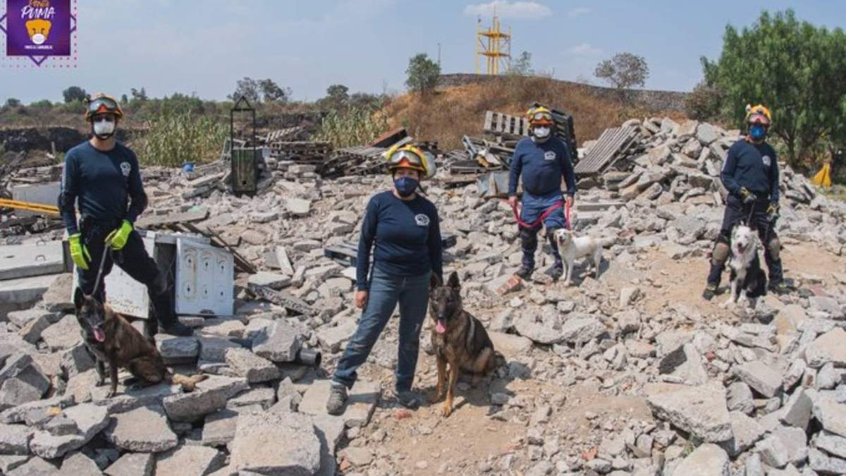 La Unidad Canina K9 de Rescate y Salvamento está integrada por 29 binomios perro-humano