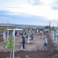 Qué tomas planea regular Neuquén Capital en 2022