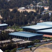 Funcionarios de Conade amenazan a clavadistas con excluirlos de los Juegos Olímpicos
