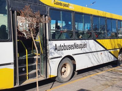 Cruces en el Concejo Deliberante de Plottier por la nueva licitación del transporte público