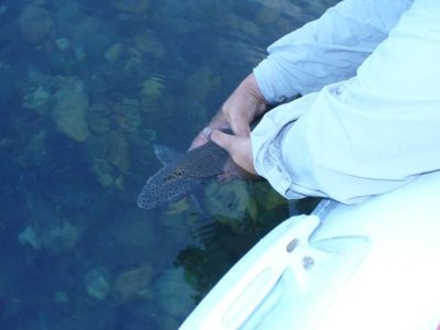 Provincia habilitó a más de 30 Prestadores Turísticos y Guías de Pesca Deportiva