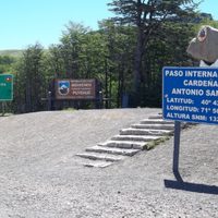 Más de 41 mil personas utilizaron el paso Cardenal Samoré en la primera mitad de diciembre