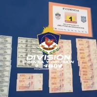 Dos demorados en Terrazas del Neuquén por estafas