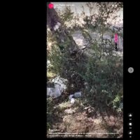 Indignado por la cantidad de basura que juntó en el Lago Falkner