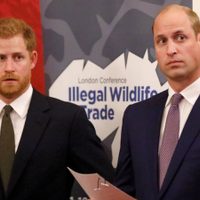 "El Príncipe William y Harry están muy molestos": el secreto de Netflix que los angustia