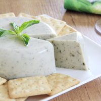 Ponete la 10 con este queso vegano casero: cremoso y súper fácil, ideal para cualquier comida