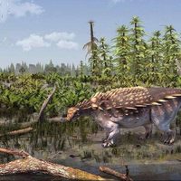 Nueva especie de dinosaurio acorazado descubierto en Inglaterra