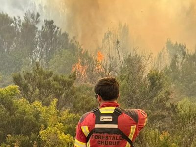 Incendios en la Patagonia: 500 bomberos luchan contra el fuego en Chubut