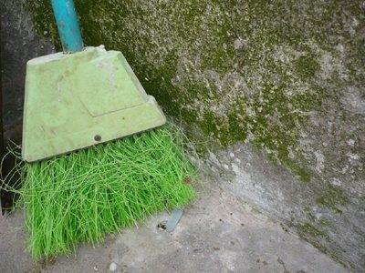 Pensá dos veces antes de tirar tus escobas viejas: mirá estas increíbles ideas para darles otra oportunidad en casa
