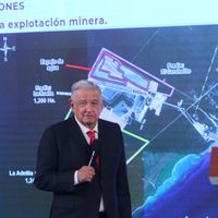 AMLO a famosos por el Tren Maya: "No distinguen entre monte alto y el árbol Cacahual"