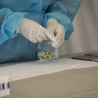 Esto respondió la OMS a las críticas por abandonar la investigación sobre origen de covid-19