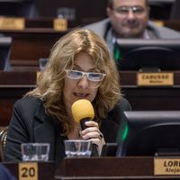 La vicepresidenta de la UCR aseguró que Macri no es el líder de la oposición