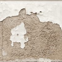 Humedad: conocé los tipos y cómo afectan a tu vivienda