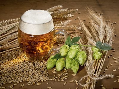 Cerveza barilochense elegida mejor IPA  de Sudamérica