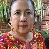 Arremete Jara contra periodista por difundir información oficial sobre la inseguridad en Oaxaca