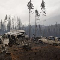Hay al menos tres sospechosos identificados por los incendios en la Comarca Andina