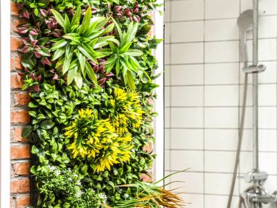 Si tenés un jardín vertical, mirá cómo preparar esta "solución madre" con pocos ingredientes para nutrir tus plantas