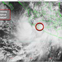 La tormenta tropical 'Narda” toca tierra en Michoacán; se esperan lluvias intensas en costa del Pacífico