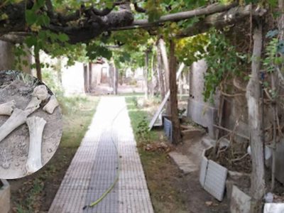 Trabajadores hallaron restos humanos en una obra en Chos Malal