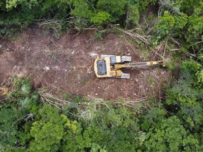 Kenia López: Urge detener obra en el tramo 5 del Tren Maya o funcionarios podrían ser destituidos