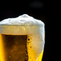 El CONICET desarrollará cervezas saludables