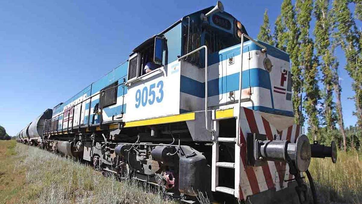 Tren en el barrio Padre Alejandro Stefenelli, General Roca. Fuente: (Twitter)