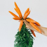 Receta rápida de budín de zanahoria con glaseado: andá poniendo el agua para el mate que este clásico se disfruta mejor acompañado