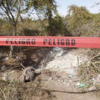 En menos de una semana, localizan 19 cadáveres en tres fosas de Lagos de Moreno