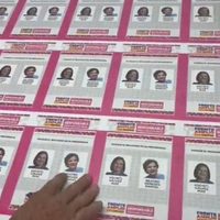 Así son las boletas para elegir candidata presidencial en el Frente Amplio (Video)