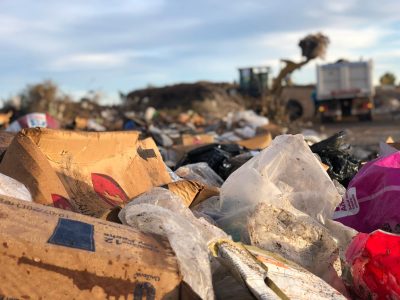 Neuquén Capital evalúa sanciones por tirar basura en la vía pública