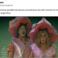 Sigue la locura por el streaming del Conicet y las redes se llenaron de memes