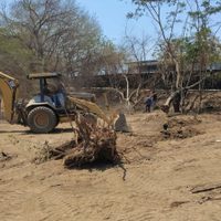 Desalojan con violencia un predio protegido de Manzanillo para construir Viviendas del Bienestar