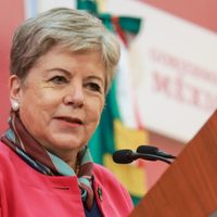 Procesos electorales en México y EU podrían generar problemas en relación bilateral: Alicia Bárcena