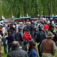 "Coronavirus en Río Negro": Se suspenden las fiestas populares
