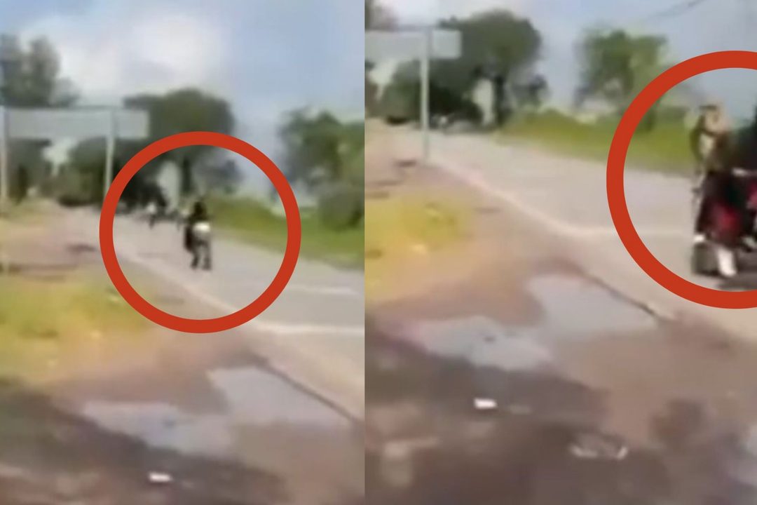 Te amo cuida mis niños balean a vendedor en plena transmisión en vivo en Guanajuato