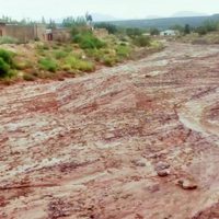 Milagro en Rincón de los Sauces ¡Fotos increíbles!