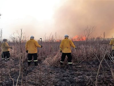 Inmensa cortina de humo por los descontrolados incendios en del Delta del Paraná