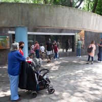 ¿Cuántos días de descanso obligatorio habrá en mayo 2024?