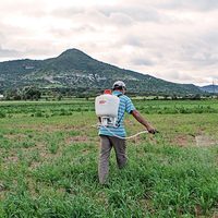 Unión Hidalgo: despojo eólico o justicia agraria
