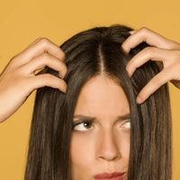 No gastes tu sueldo en productos carísimos: prepará el mejor remedio para tratar la caspa y fortalecer tu cabello