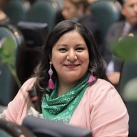 Diputada de Morena denuncia a su colega de bancada por presunta violencia política de género