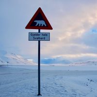 Svalbard: el archipiélago de Noruega donde el cambio climático ya llegó