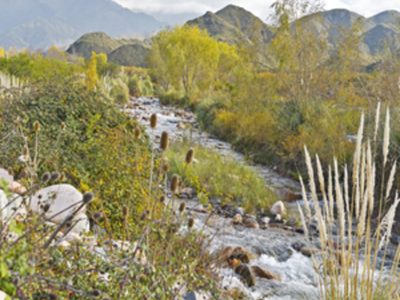 El lugar ideal para descansar y conocer más sobre San Martín