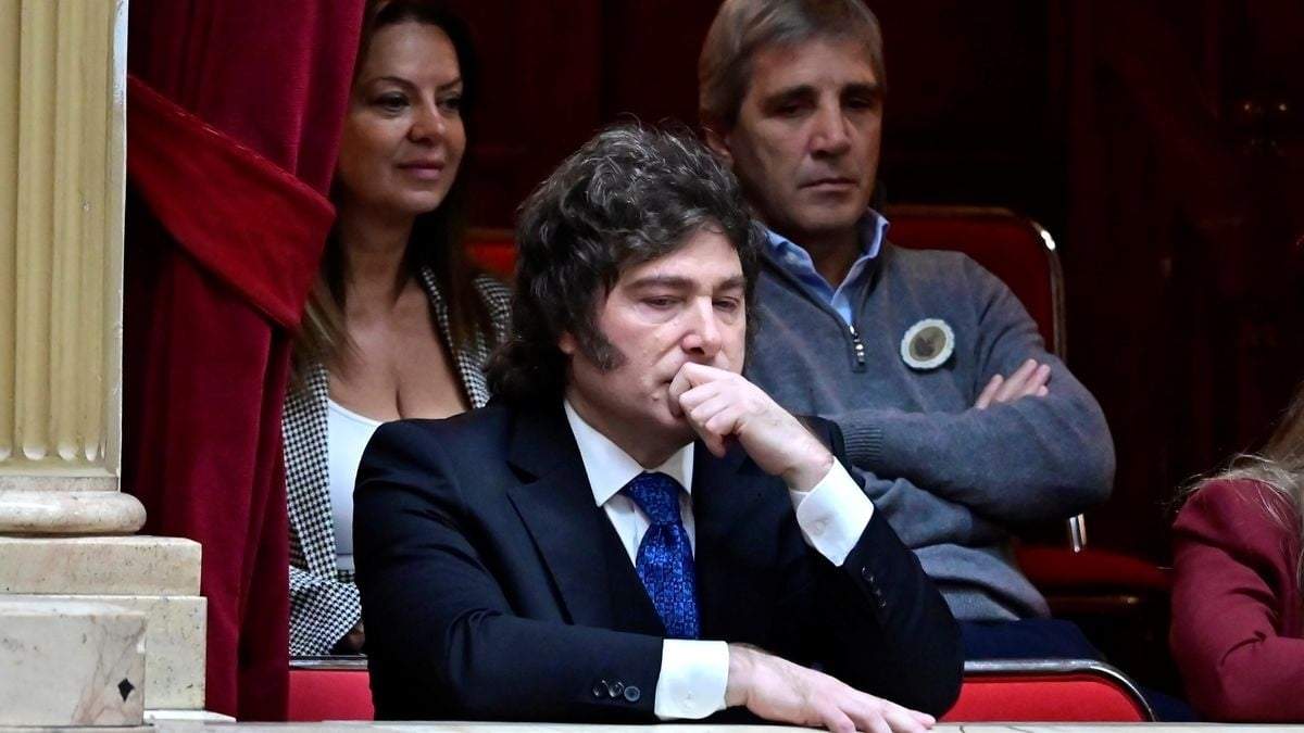 Javier Milei. Fuente: (Instagram)