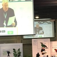 En todos los países de la OCDE hay corrupción: jefe de delegación vaticana