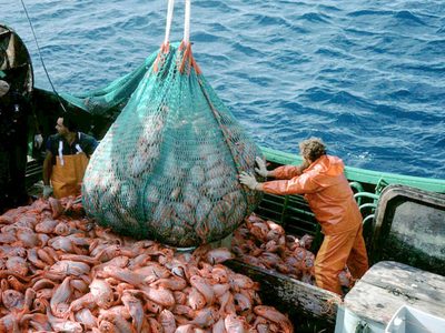 Cierre de paritarias para cuatro gremios más: así quedaron las subas