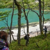 Turismo de naturaleza: caminatas por los bosques de Chubut