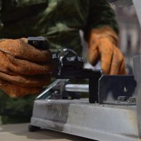 Sheinbaum lanza convocatoria para construir monumento a la paz con armas destruidas en la CDMX