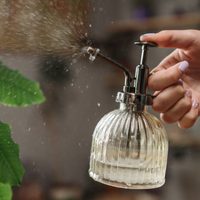 Adiós a las hormigas y plagas: eliminalas de tus plantas con solo 2 productos de tu cocina