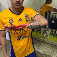 Se desata violencia en tribuna tras victoria de Tigres ante Veracruz; 'Tuca” explota contra seguridad y agresores (Video)